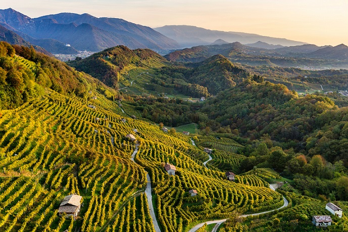 Conegliano Valdobbiadene Hills